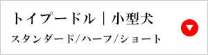犬種別商品サイズ表「犬服」