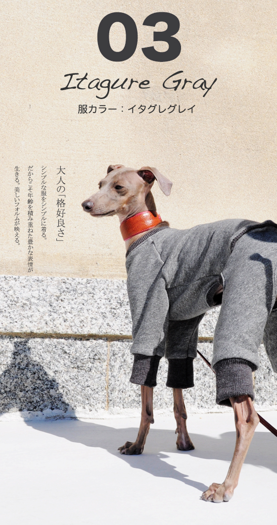 イタグレ・ウィペット犬服｜ロンパース｜トレーナー｜選べる３カラー