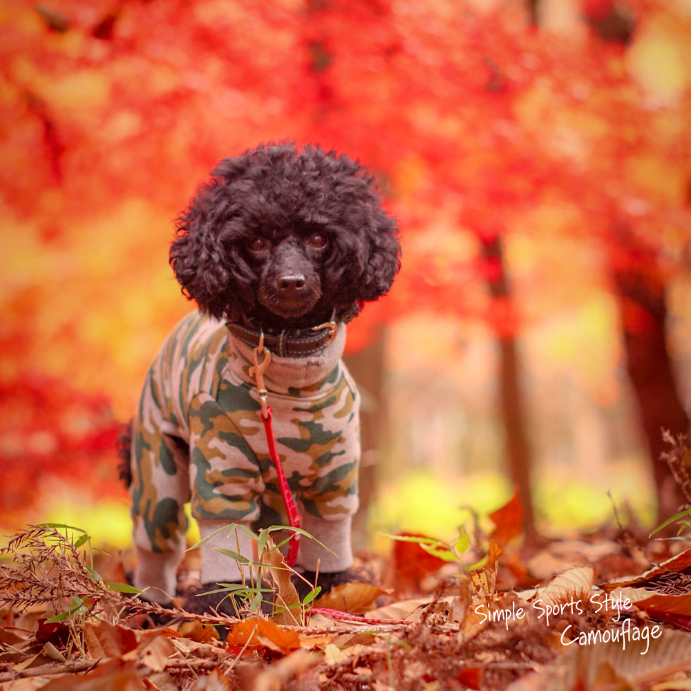 犬服｜Simple Sports Style Camouflage（迷彩）｜裏毛パイルプリント｜選べる４タイプ×３カラー（blue&white/green&gray/brown&gray）