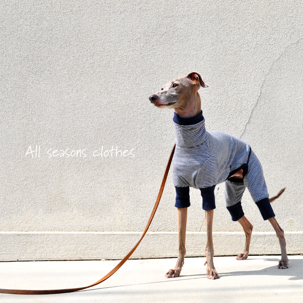 犬服｜All seasons clothes｜ボーダーニット｜選べる４タイプ×３カラー（ベージュ/グレイ/ネイビー）