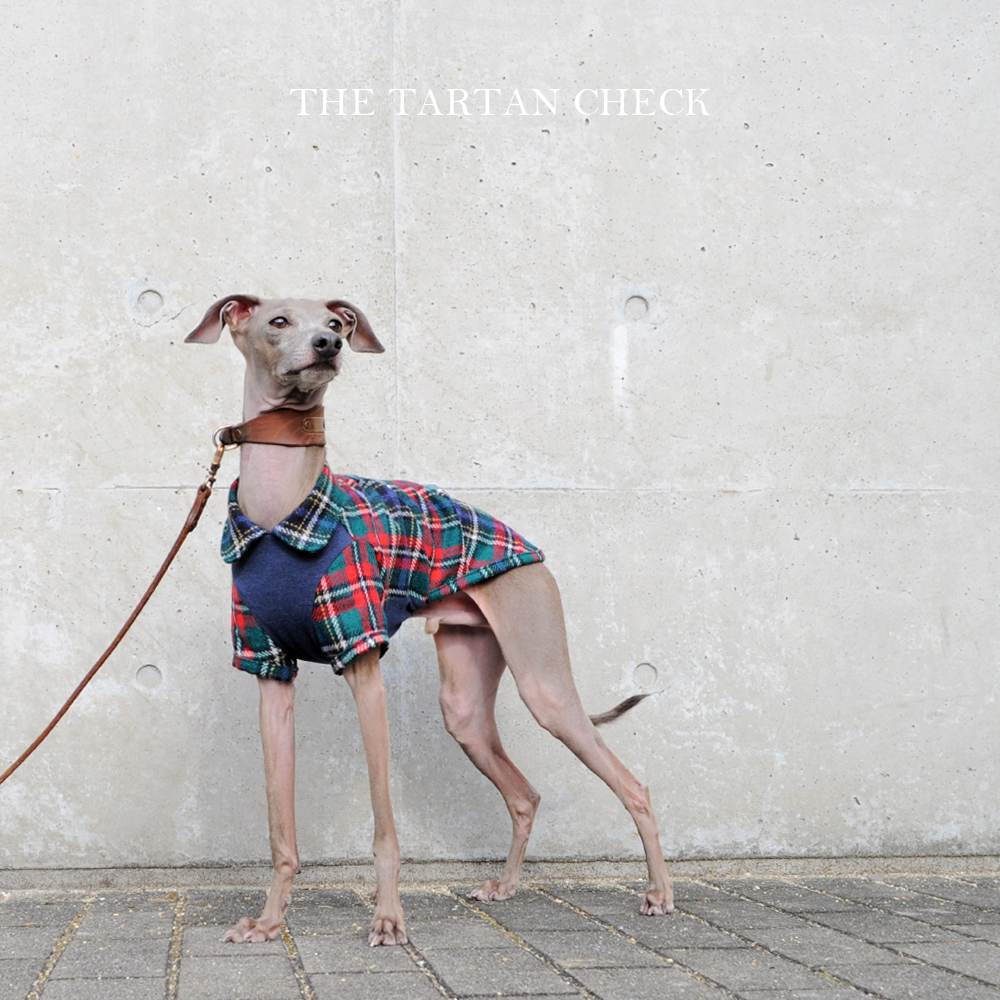 犬服｜THE TARTAN CHECK｜イギリス製タータンチェック｜選べる３タイプ×３カラー（ベージュ/ネイビー/グレイ）「丸襟カスタマイズ可能」