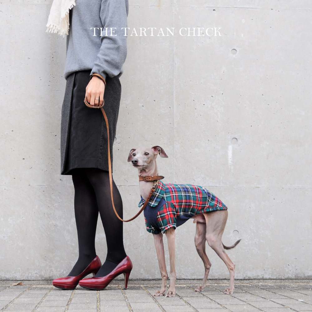 犬服｜THE TARTAN CHECK｜イギリス製タータンチェック｜選べる３タイプ×３カラー（ベージュ/ネイビー/グレイ）「丸襟カスタマイズ可能」