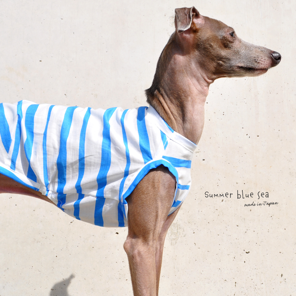 犬服｜Summer blue sea｜日本製綿100％フリーハンドボーダー｜選べる３タイプ×２カラー（アクア/ヨットブルー）