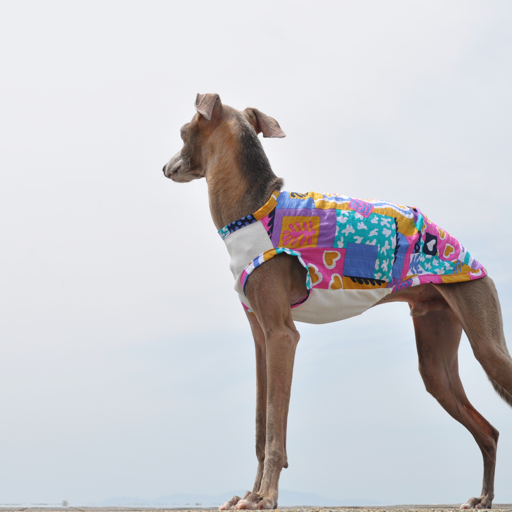 犬服｜夏の海｜スイス製サッカープリント（しじら織り）×接触冷感クールマーベラス｜選べる３タイプ