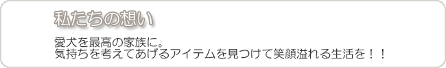 私たちの想い 私たちの想い